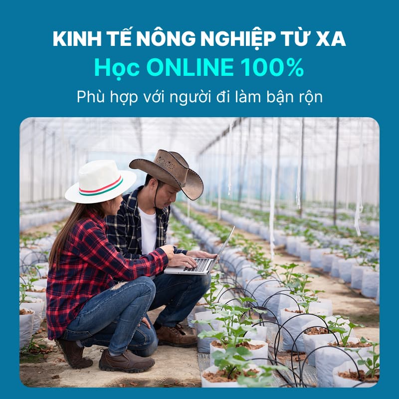 Chương Trình Đào Tạo Ngành Kinh Tế Nông Nghiệp Từ Xa