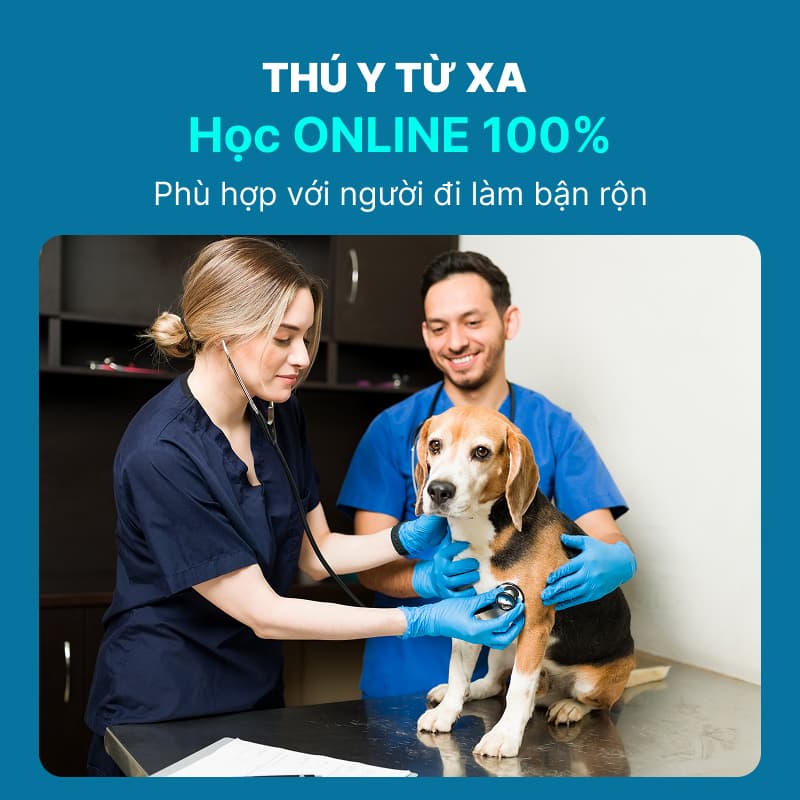 Chương Trình Đào Tạo Ngành Thú Y Từ Xa