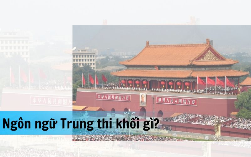 Ngôn ngữ Trung thi khối gì? Giải đáp chi tiết từ tuyển sinh đến cơ hội việc làm